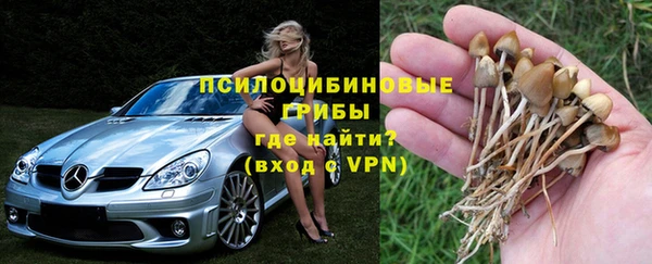 дживик Армянск