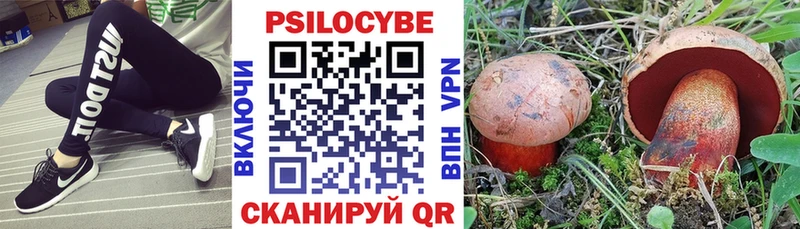 Псилоцибиновые грибы Cubensis  Покров 